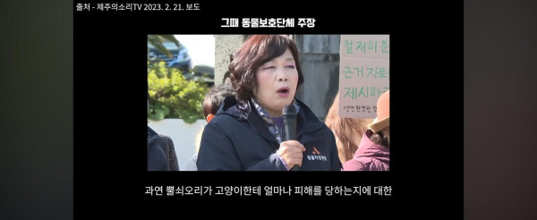 고양이만 보호하는 동물보호단체