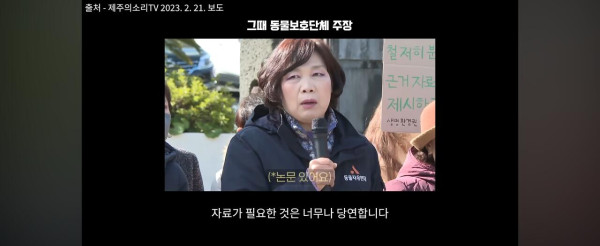 고양이만 보호하는 동물보호단체