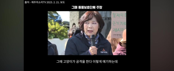 고양이만 보호하는 동물보호단체