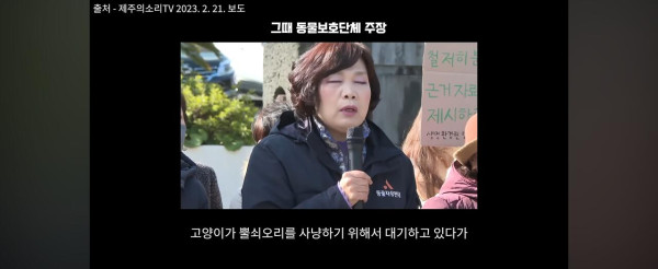 고양이만 보호하는 동물보호단체