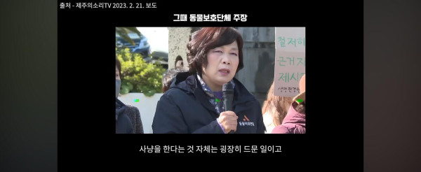 고양이만 보호하는 동물보호단체