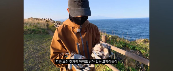 고양이만 보호하는 동물보호단체