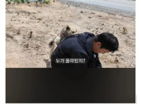 평색 묶여있던 시골개 산책 시키기