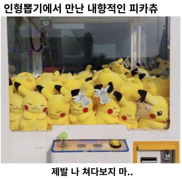 E들에게 둘러쌓인 I성향의 피카츄