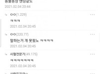 디시식 동물농장 엔딩멘트 ..