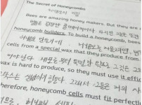 시험지채점하다가