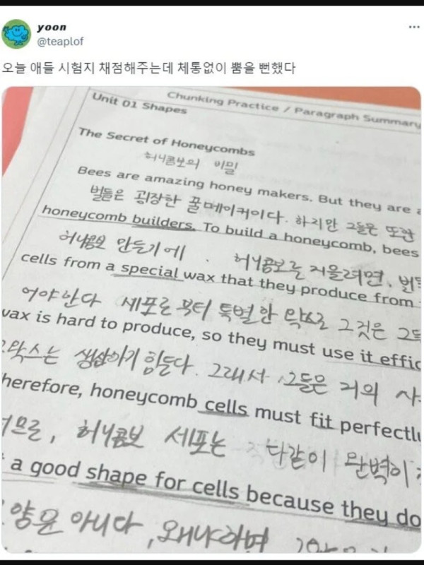 시험지채점하다가
