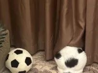 어? 축구공이 두개내