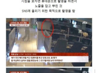 요즘 촉법들 만행