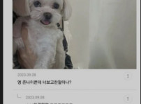 너보고 한말 아니냐