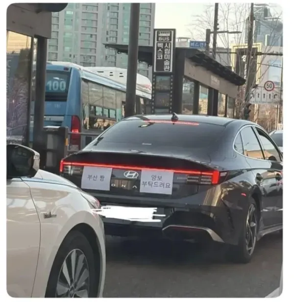 부산에 놀러온 외지인