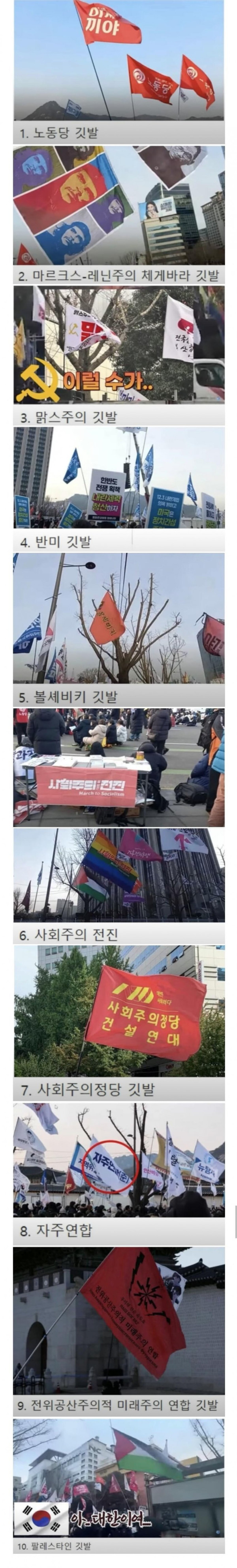 계엄 시위 때 볼 수 있었던 깃발들