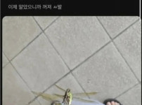  깨달음