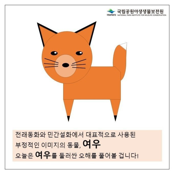 여우를 둘러싼 오해의 진실