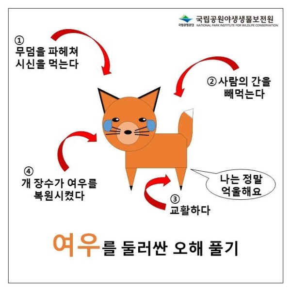 여우를 둘러싼 오해의 진실