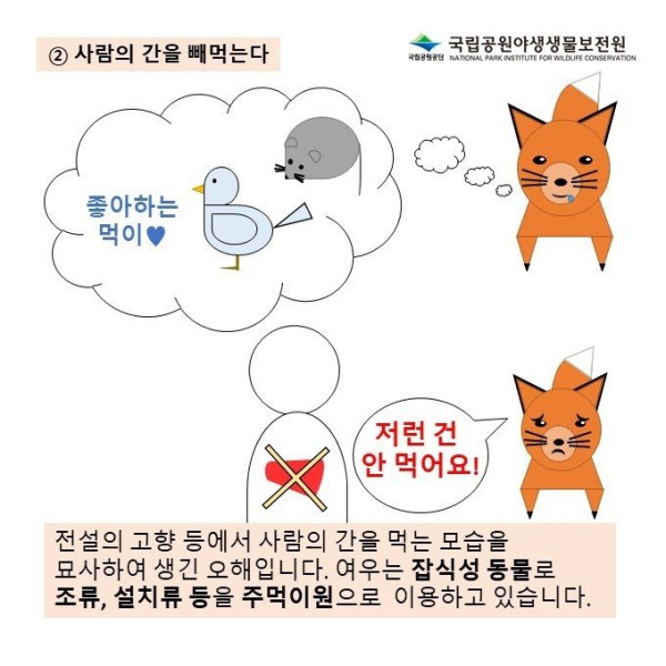 여우를 둘러싼 오해의 진실