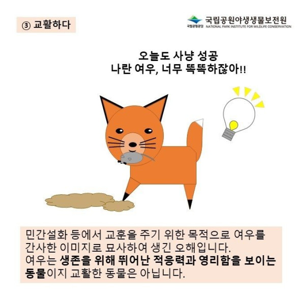 여우를 둘러싼 오해의 진실