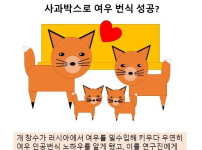 여우를 둘러싼 오해의 진실