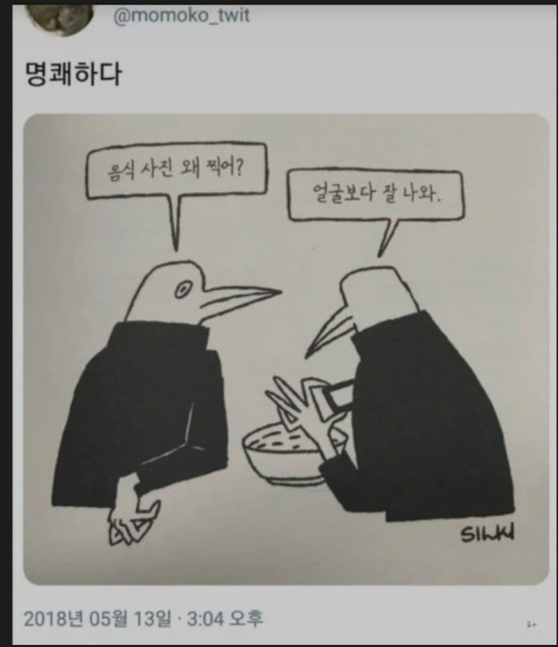 음식사진 왜 찍어?