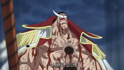 원피스 앵무새 떡밥이 진짜면 이세끼들 미친놈들이네