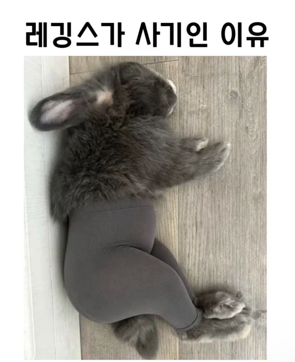레깅스가 사기템인 이유ㄷㄷ