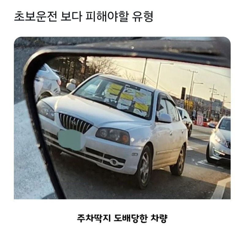 초보운전보다 피해야할 유형