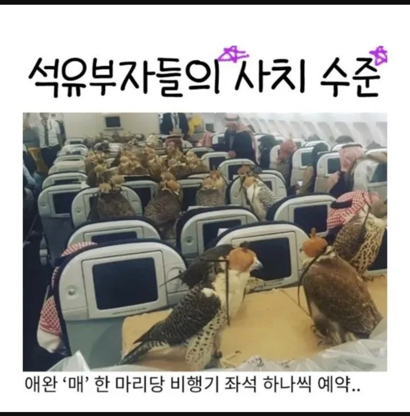 석유부자들의 사치수준