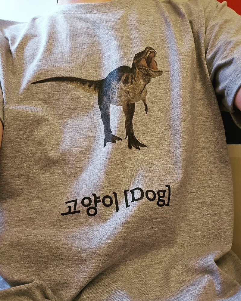 맞는게 하나도 없는 고양이 티셔츠