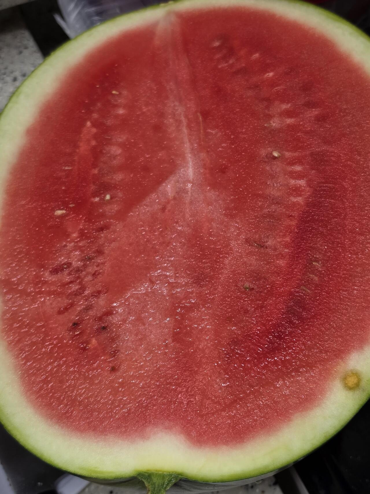슈박