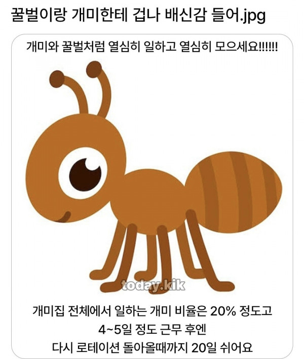 배신감