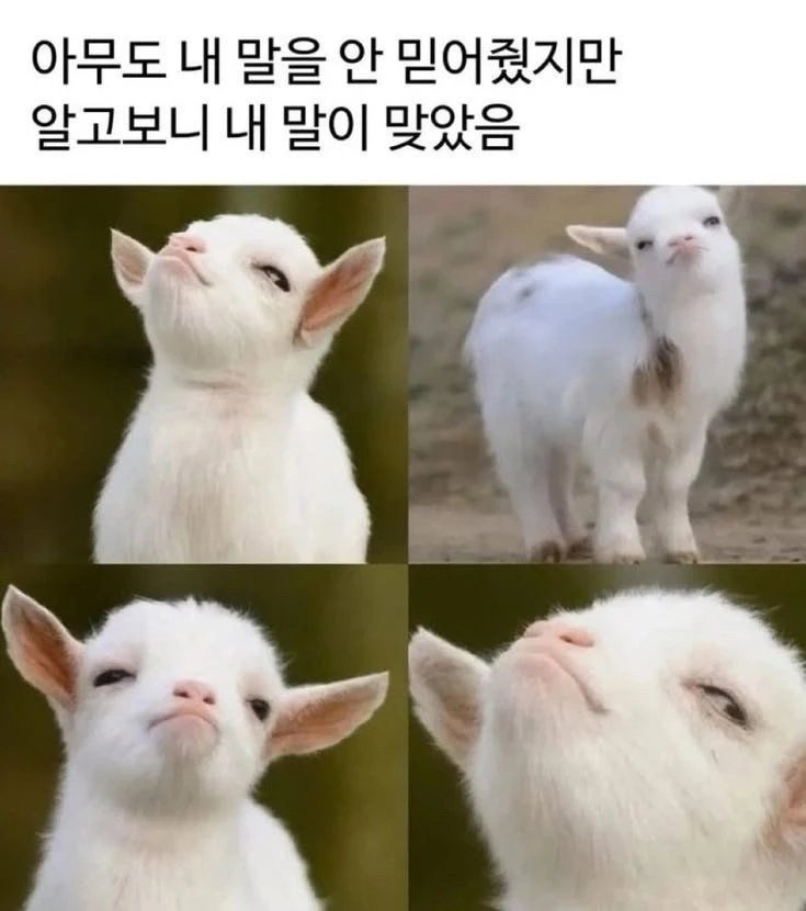 아무도 안 믿었는데 결국 내 말이 맞았을 때