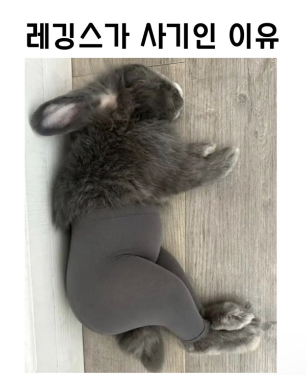 레깅스가 사기템인 이유ㄷㄷ