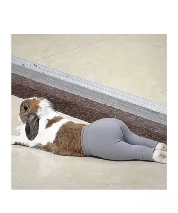 레깅스가 사기템인 이유ㄷㄷ