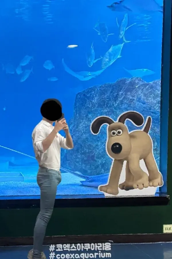 디시 패션갤 레전드 패션