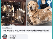 보신탕집 사장님 전직
