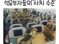 석유부자들의 사치수준