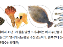 회 먹을 때마다 감사한 인물 GOAT
