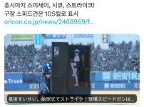 일본 시구 현황