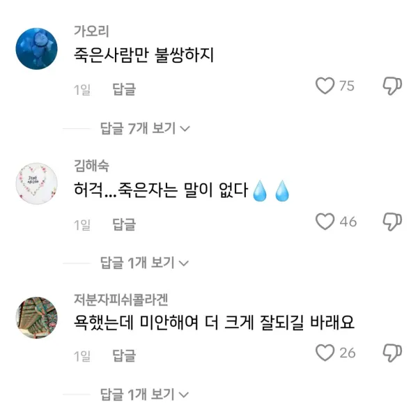 틱톡 김수현 복귀 영상에 달린 댓글 수준