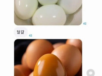 맥반석 달걀을 세글자로 줄이면?