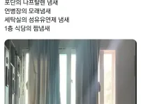 20대남성 70퍼센트가 느낀다는 향수