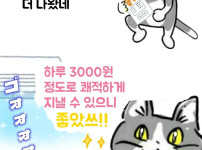 8월 에어컨 전기요금 특징