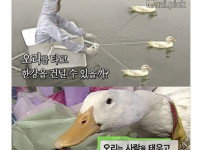 그시절