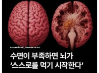 먹지마 ㅠ