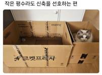 작은 평수라도 신축을 선호하는 편