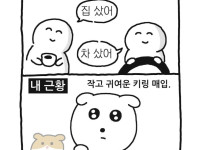 내 또래 근황